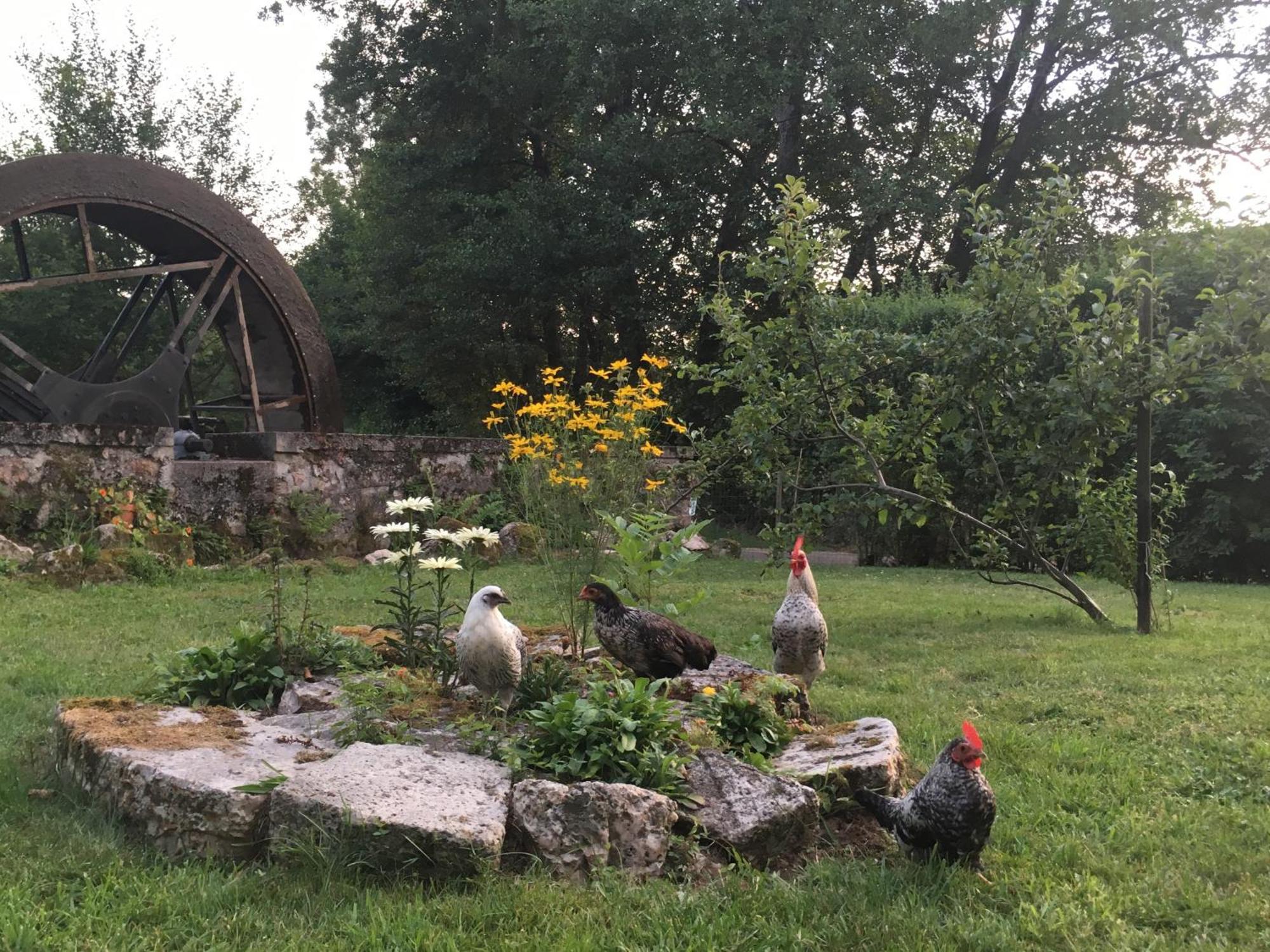 Le Moulin De Razou Bed and Breakfast Brassy Buitenkant foto